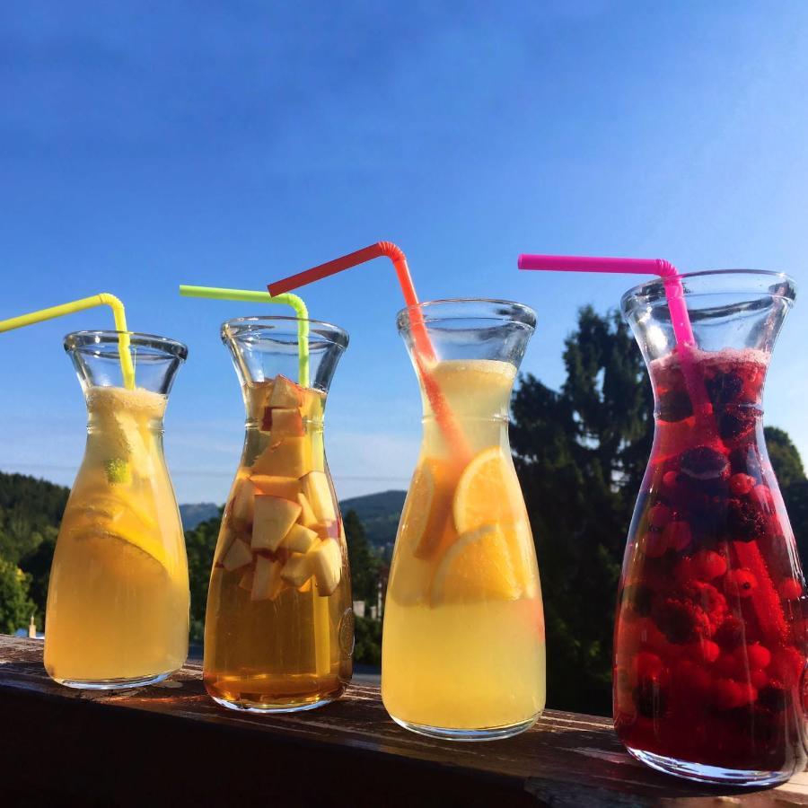 Hotel Peklo Pro Rodiny S Detmi Josefuv Dul Exterior foto